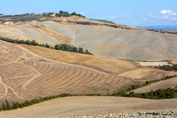 Naklejka premium Val d' Orcia (SI), Italy - August 05, 2021: Typical landscape in val d' Orcia, Tuscany, Italy
