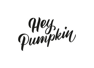 Fototapeta na wymiar Hey pumpkin calligraphic text. Autumn handwritten lettering illustration. Brush calligraphy style. Black inscription 
