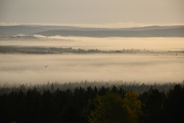 Fototapeta premium A fog on an autumn morning, Sainte-Apolline, Québec, Canada