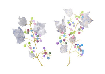 水彩で描いたぶどうのようなカラフルな実がついた綺麗な枝と葉のイラスト素材