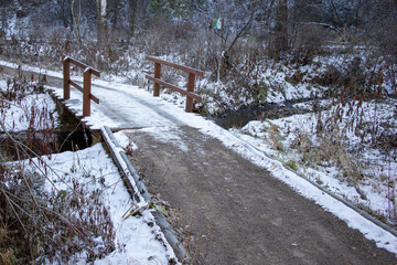 A small bridge in the forest across the river.