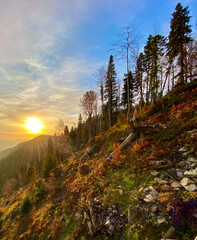 autumn forest at sunset on the rocky slopes of the caucasus range