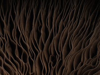 Fototapeta premium Macro shot of gray gills of an edible mushroom isolated on a black background