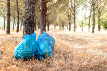 Volunteer man collecting  plastic wastes under pine trees. Selective focus.