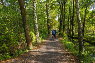 Obraz premium Cycling from village Lehde to Leipe in autumn, Spree forest - Germany