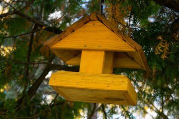 Birdhouse on the village in the forest