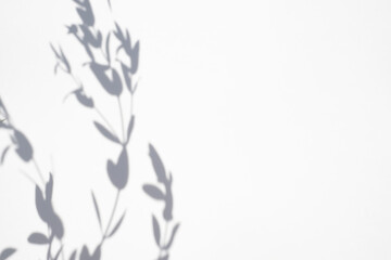 Trending concept in natural materials with plant shadow on white background. Presentation with...