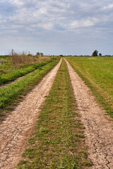 Fototapeta na wymiar Rural Dirt Road Through Grassland in Argentina. Horizontal