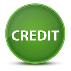 Credit luxurious glossy green round button abstract