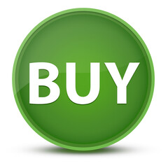 Buy luxurious glossy green round button abstract