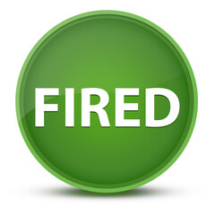 Fired luxurious glossy green round button abstract