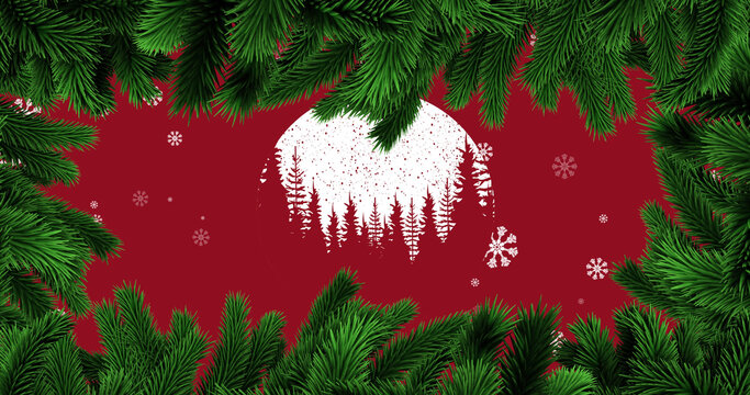 Image of fir tree branches over christmas pattern
