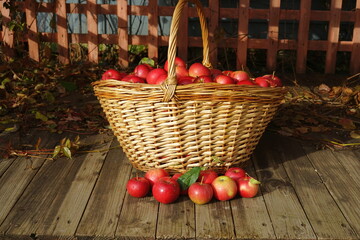  harvest of red apples in a basket
