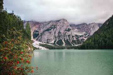Sommerlicher Anblick: Die majestätische Natur Italiens
