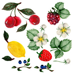 Juicy ripe red cherries, raspberries, blueberries, watercolor drawing