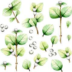 Beautiful autumn tree branches, leaves and berries. Unusual autumn, watercolor and black pen, handmade