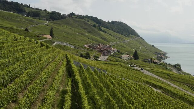 Aerial flying towards little Winetown at Lavaux, Switzerland