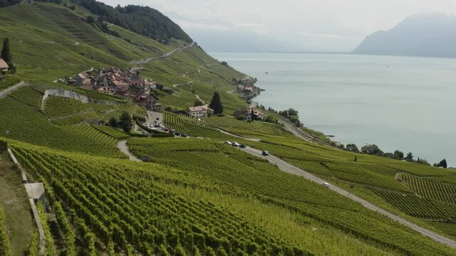 Aerial flying above vineyards towards little Winetown at Lavaux, Switzerland