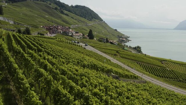Aerial flying sideways above Vineyards at Lavaux, Switzerland