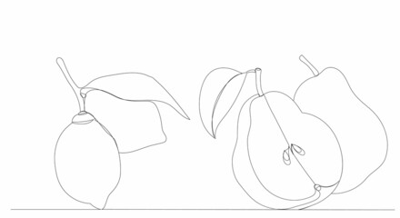 fruit lemon, pear one continuous line drawing, vector