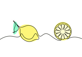 Color drawing line lemon on the white background. Vector