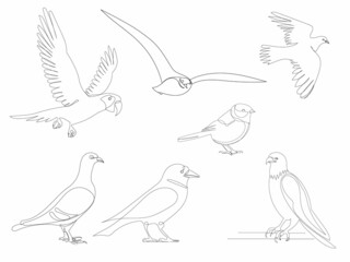 birds set drawing by one continuous line, vector