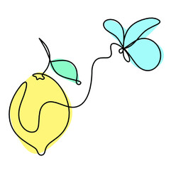 Color drawing line lemon on the white background. Vector