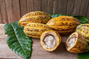 Halved cocoa fruit and cocoa pods