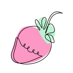 Drawing line of color strawberry on the white background. Vector