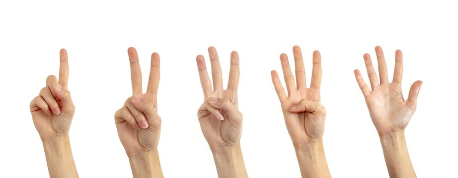 Set of hands showing numbers one to five isolated on white background.