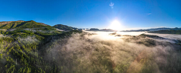 Panoramic view of sunrise over the forest in the hills of Provence France