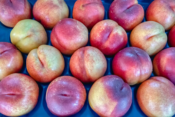 photo of peaches lined up with row