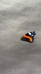 Fototapeta na wymiar butterfly’s wing, part of butterfly, wing, butterfly on the grey background, copy space 