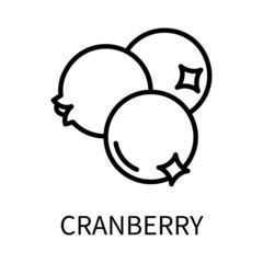 Line Icon Cranberry In Simple Style. Vector sign in a simple style isolated on a white background. Original size 64x64 pixels.