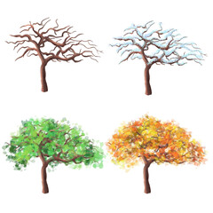 Seth deciduous tree view of the four seasons autumn, winter, spring, summer. Tree at different times of the year.Trees on isolated white background. Different types of tree according to the seasons
