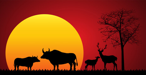 sunset silhouette animal  vector