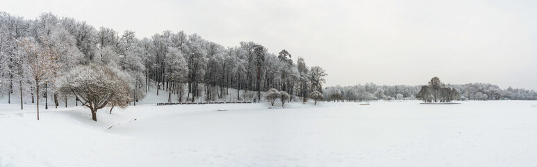 Winter view of a snow-covered pond and trees around