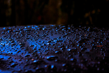 Obraz premium raindrops