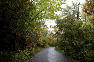 Beautiful view of pathway in park on autumn day