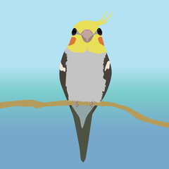 
An illustration of a very cute male cockatiel sitting on a branch. The bird looks at you with two eyes, you look on his beak. 

