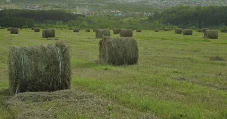 a field of grass, a haystack, a roll of hay, a green forest and a beautiful sky. scenery.
