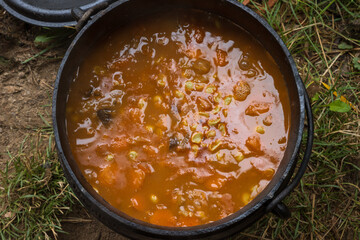 vegetable stew in the Dutch Oven