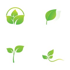 Fototapeta na wymiar leaf logo and vector images