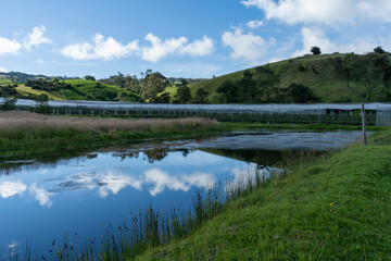 Bluish landscape in Tabio Cundinamarca