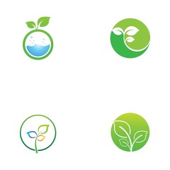 leaf logo and vector images