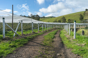 Bluish landscape in Tabio Cundinamarca