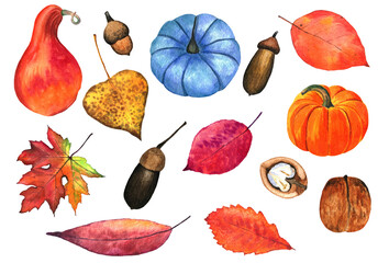 watercolor set of pumpkin, leaves, acorns, nuts