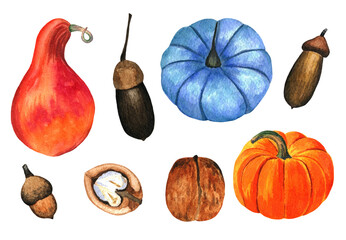 watercolor set pumpkin nuts acorns
