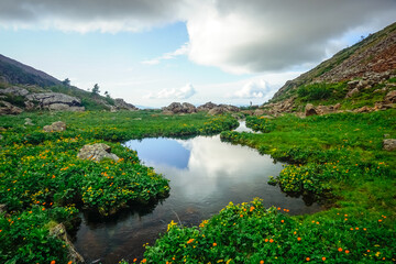 Fototapeta premium Beautiful stream in the Siberian mountains Sayan