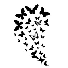 Naklejka na ściany i meble Flock of silhouette black butterflies on white background. Vector